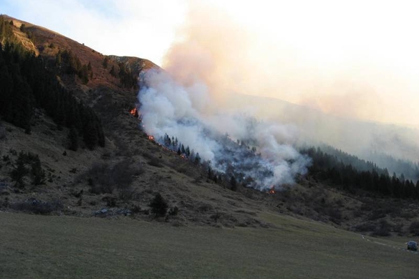 Waldbrand am Eingang des Jamtals in Galtür