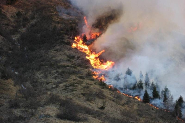 Waldbrand am Eingang des Jamtals in Galtür