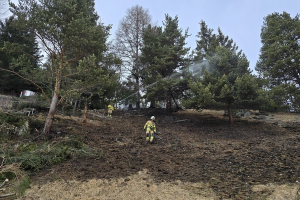 Waldbrand in Ladis