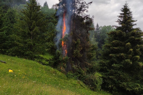 Waldbrand in Ladis