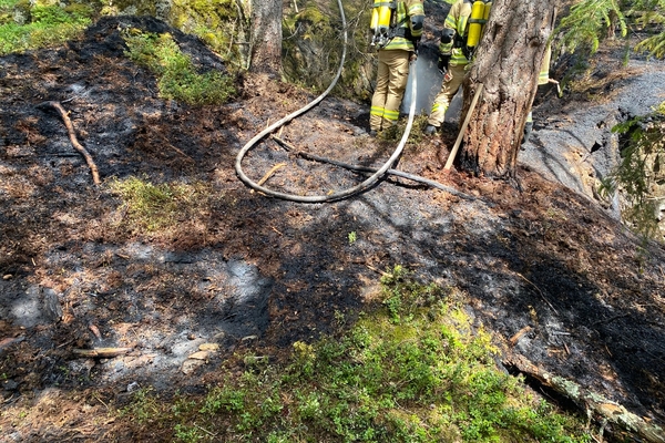 Waldbrand in Fließ