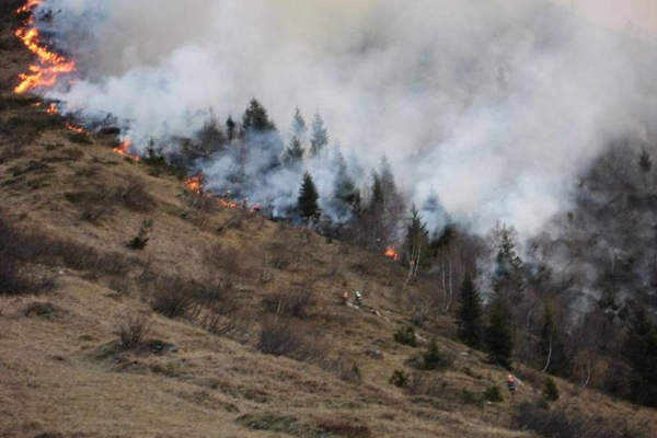 Waldbrand am Eingang des Jamtals in Galtür