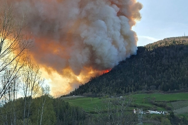 Nachbarschaftshilfe in Südtirol