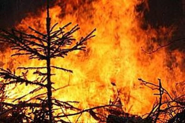 Waldbrandgefahr – Verbot des Feuerentzündens