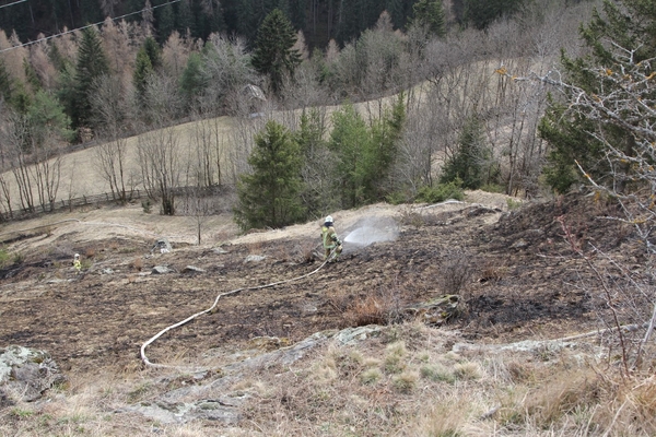 Brand Wiese in Fließ