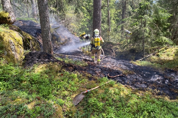 Waldbrand in Fließ