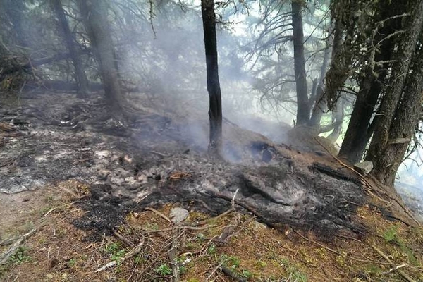 Waldbrand Kaunertal 14. und 15 August 2015