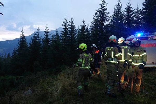 Vermeintlicher Waldbrand durch Blitzschlag